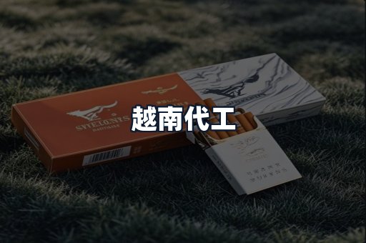 越南代工
